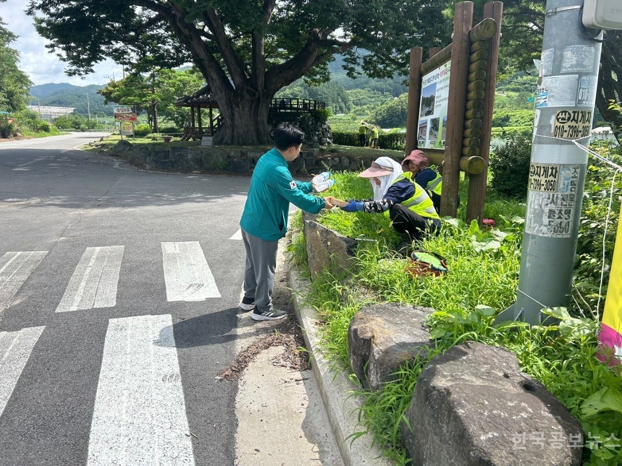 기사 사진