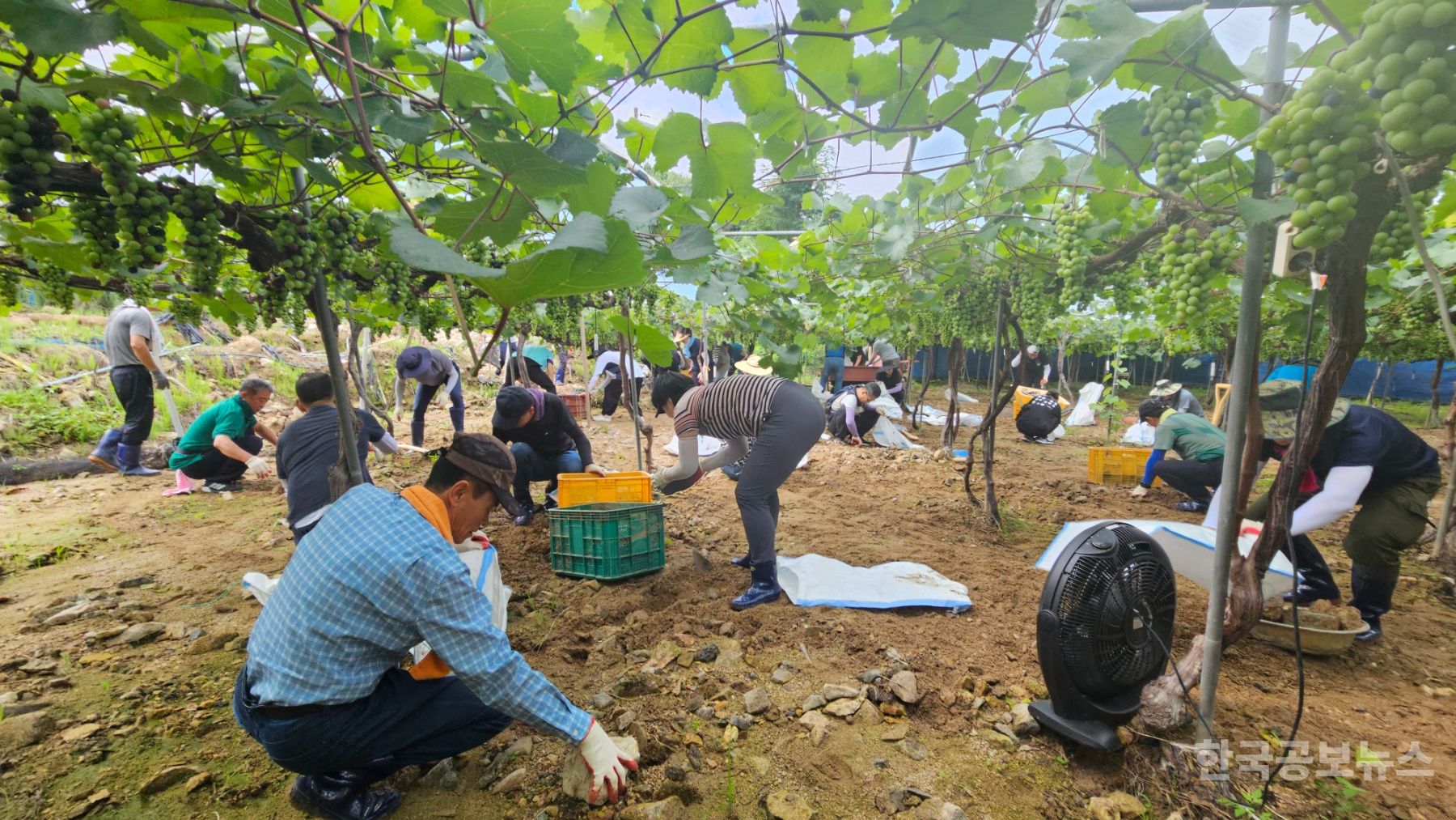 기사 사진