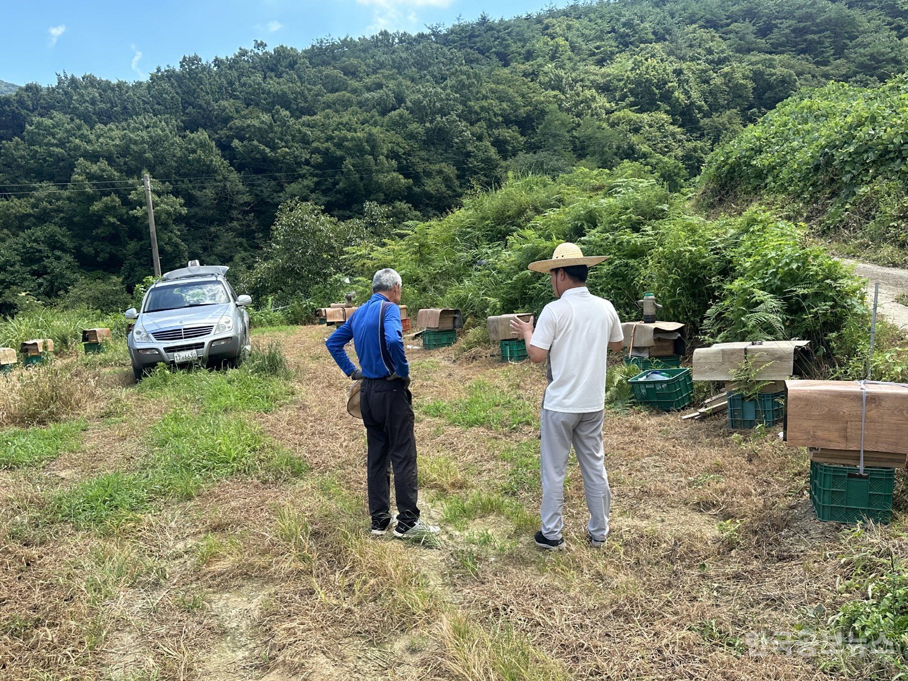 기사 사진