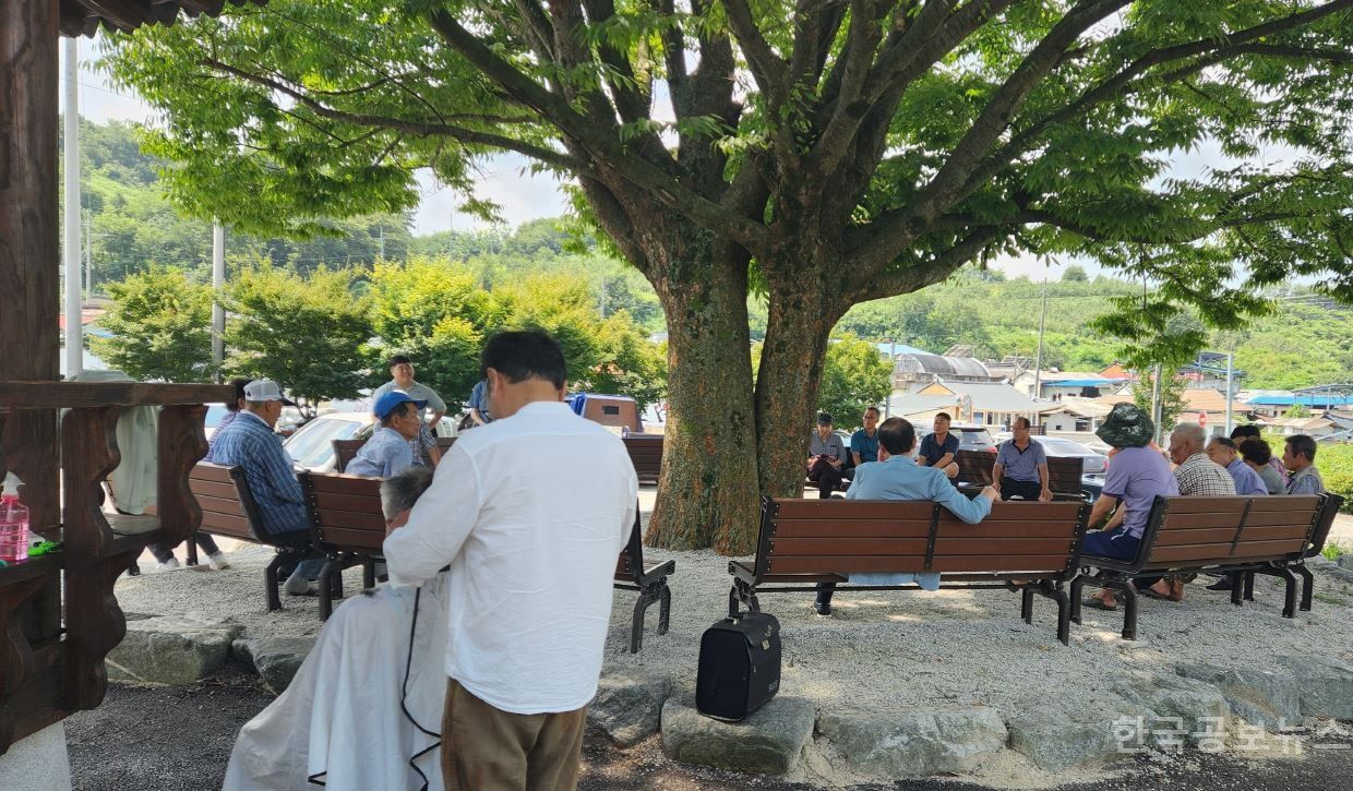 기사 사진