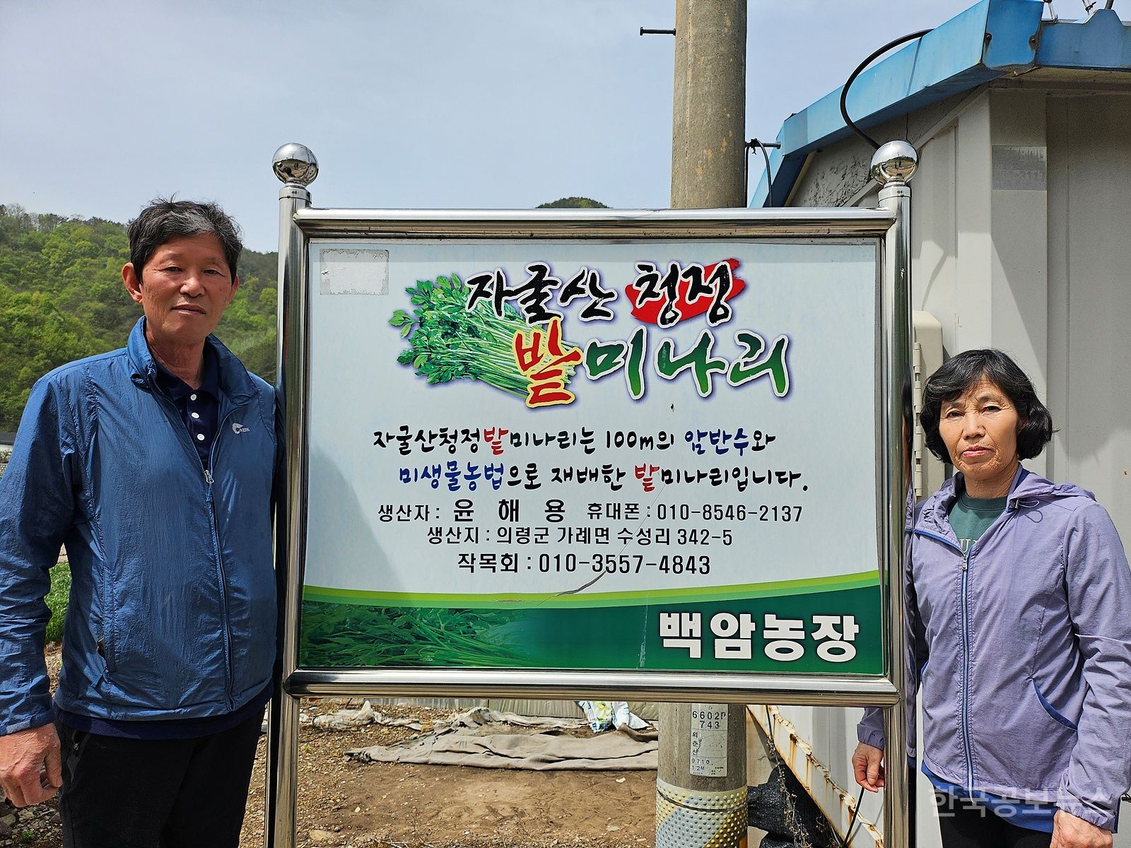 기사 사진