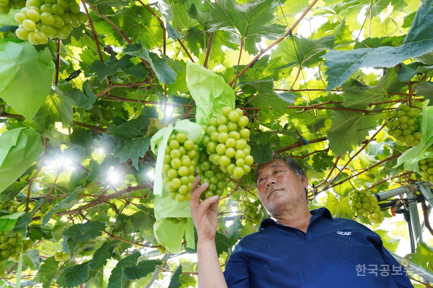 기사 사진