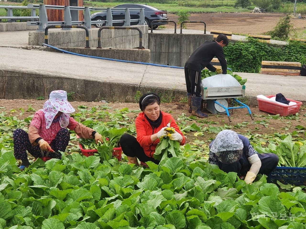 기사 사진