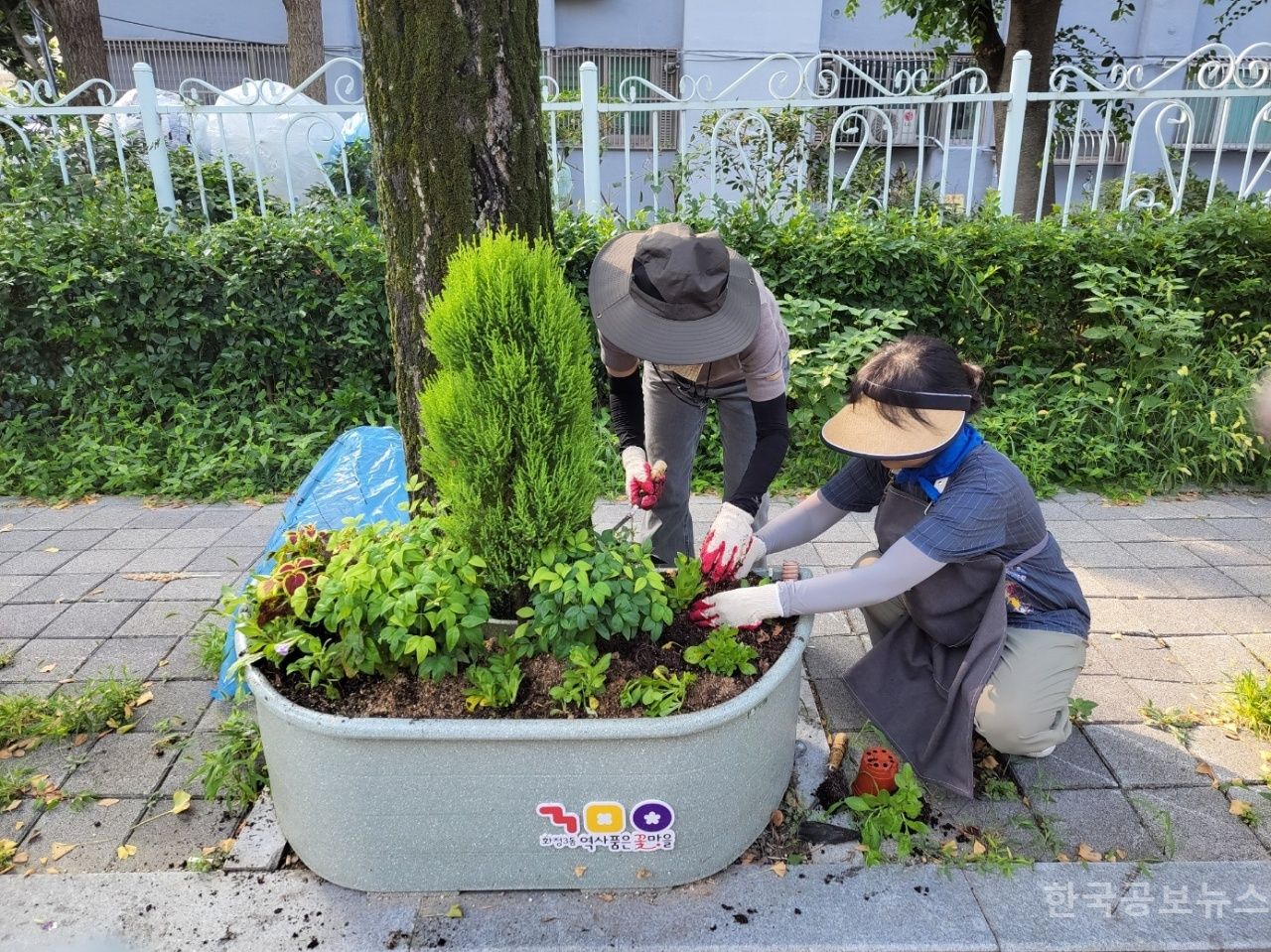 기사 사진