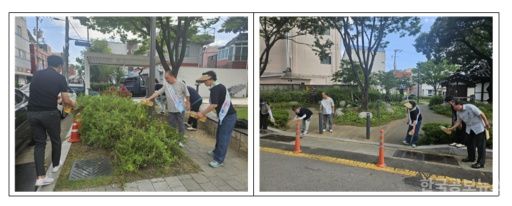 기사 사진