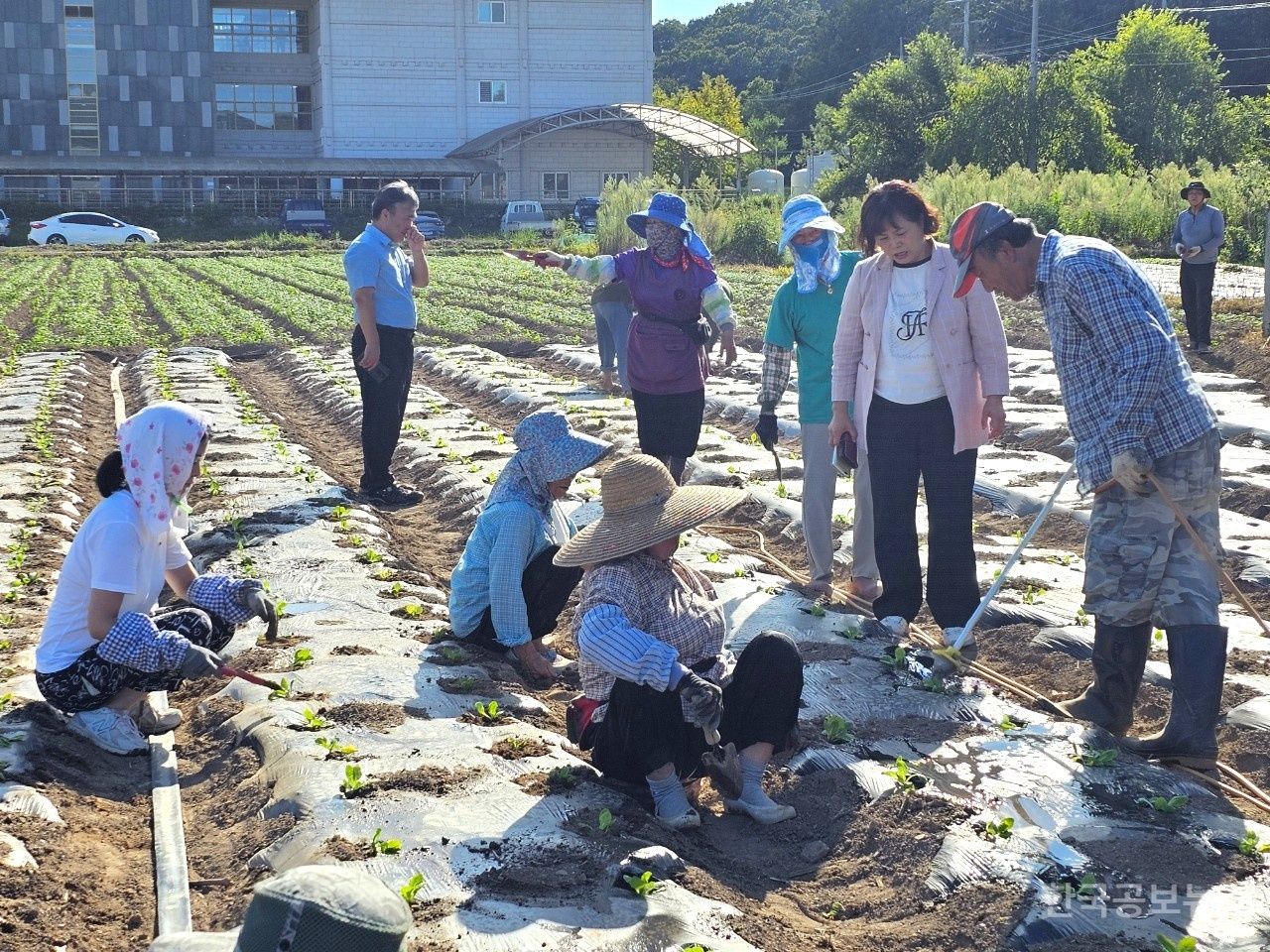기사 사진