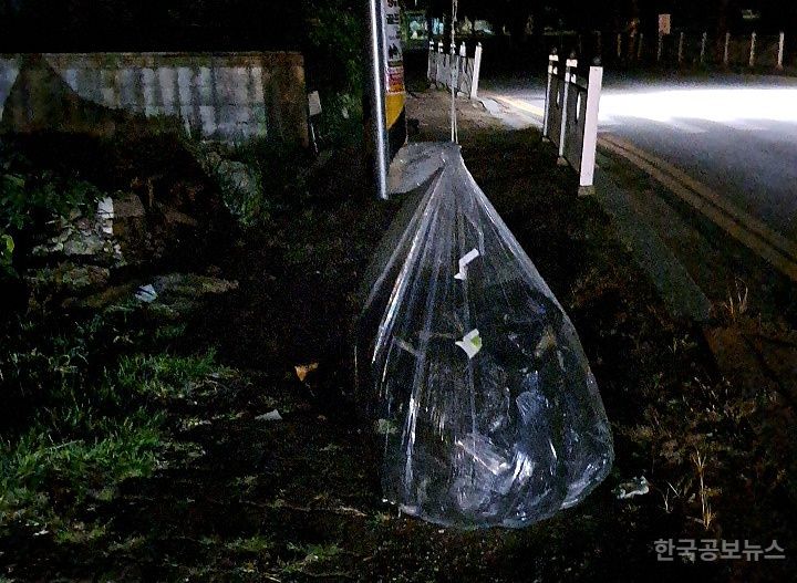 창원특례시의회“북한, 오물 풍선 도발 즉각 중단해야” 기사 사진