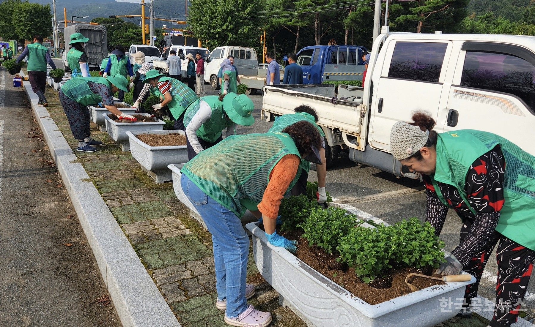 기사 사진