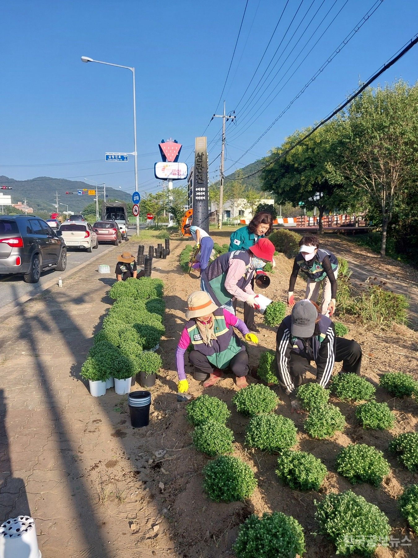 기사 사진