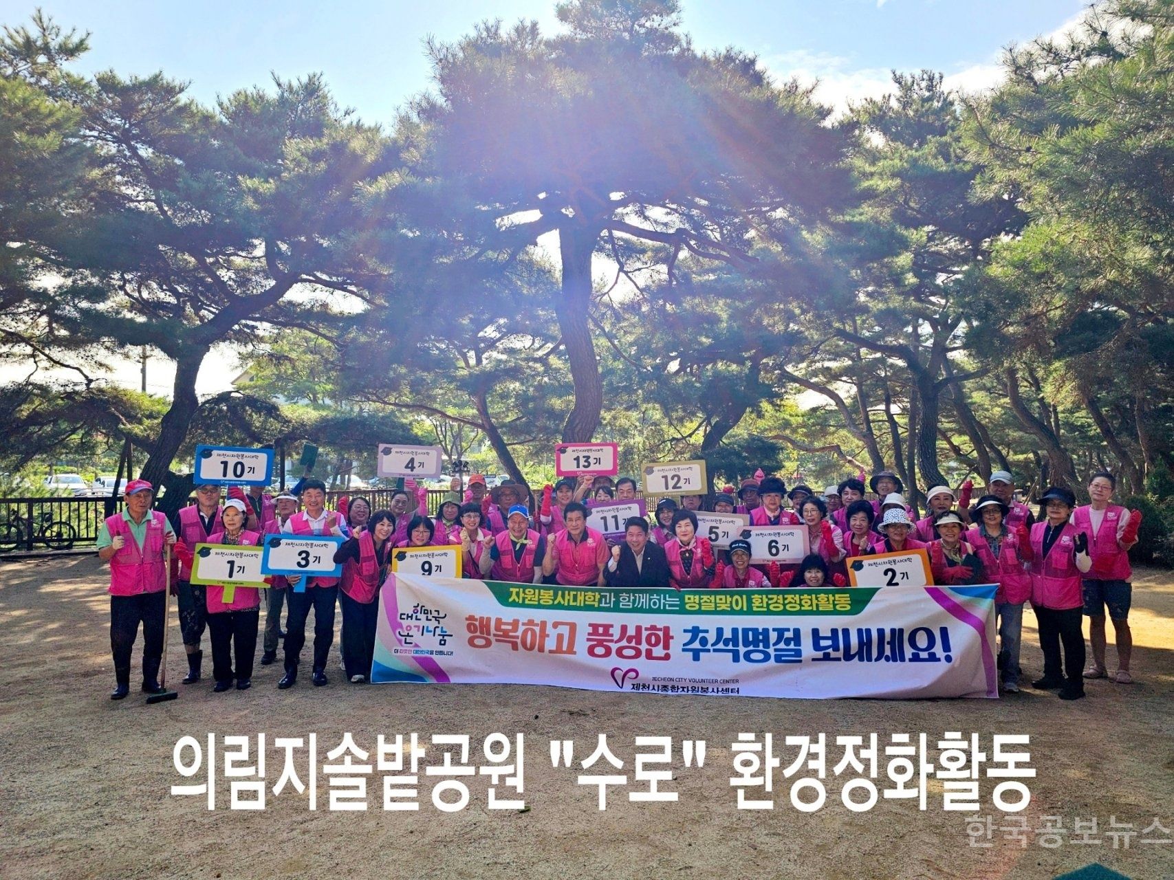 솔밭 이미지
