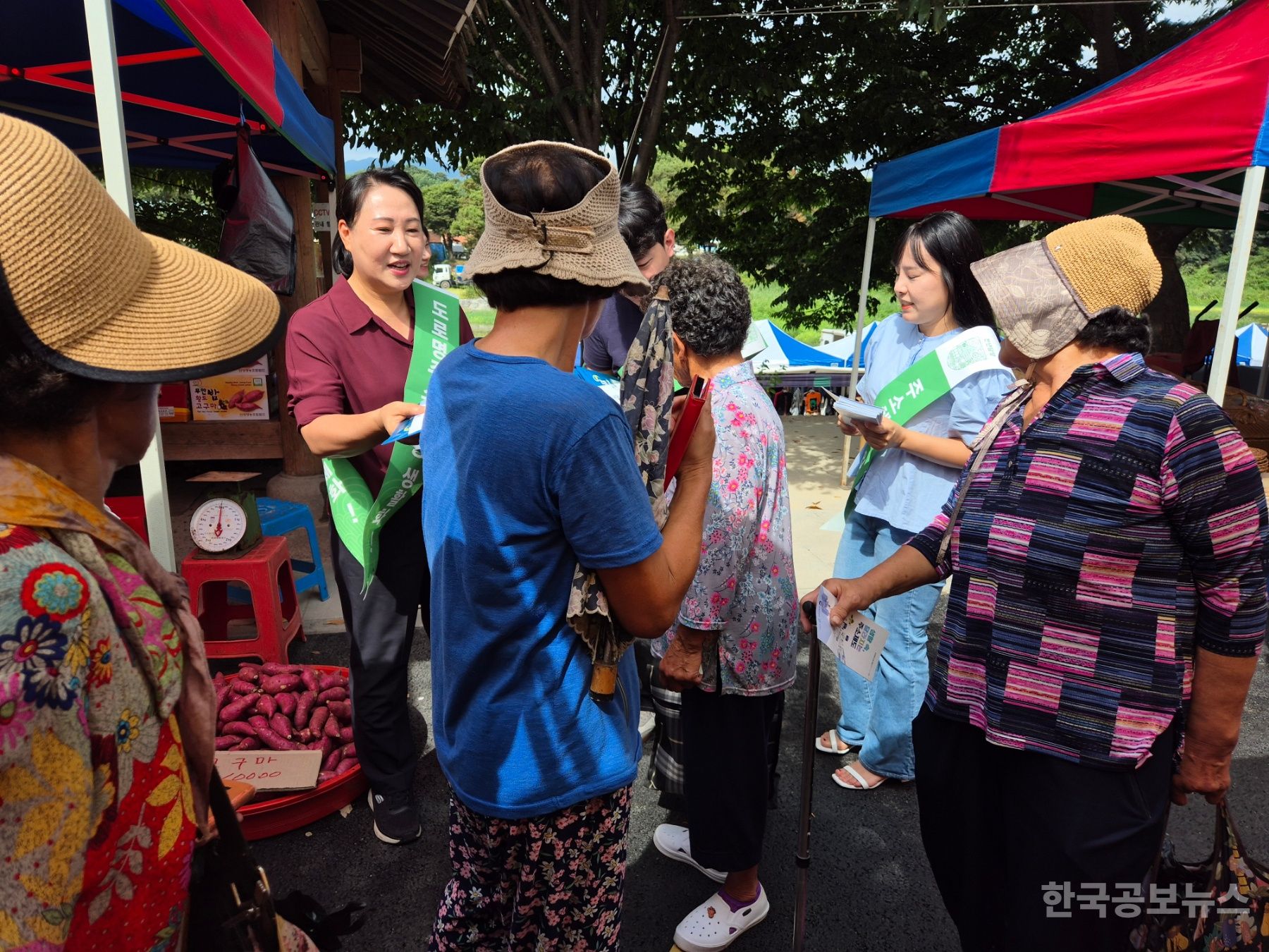기사 사진