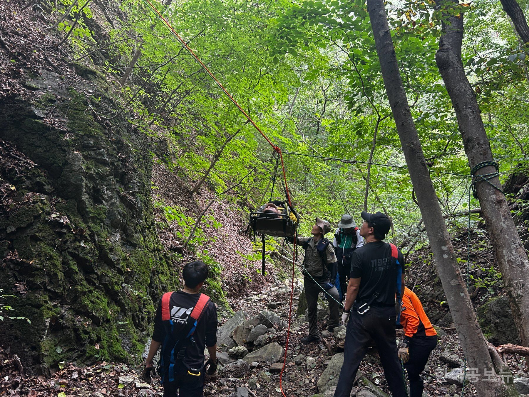 기사 사진