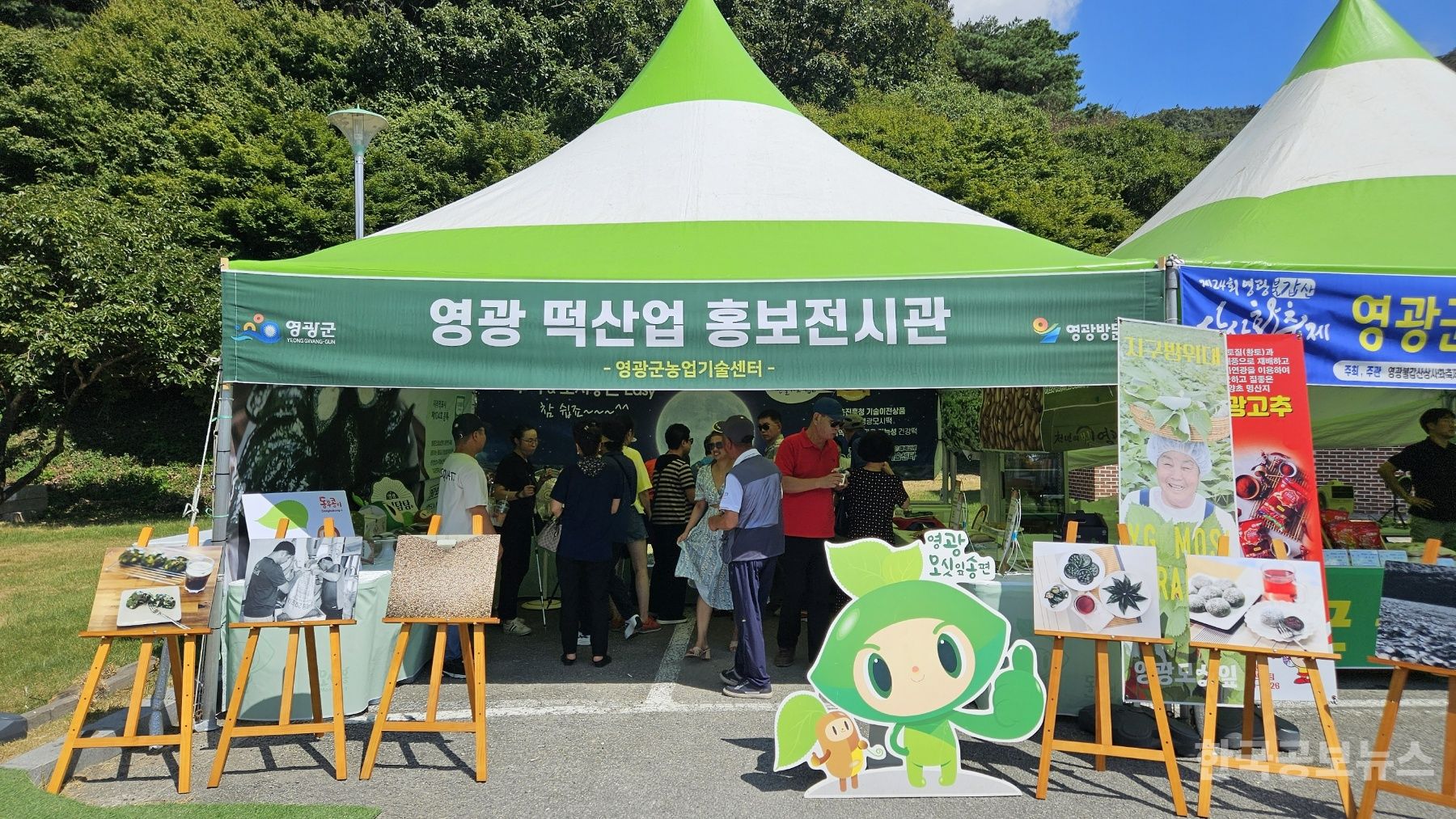 기사 사진