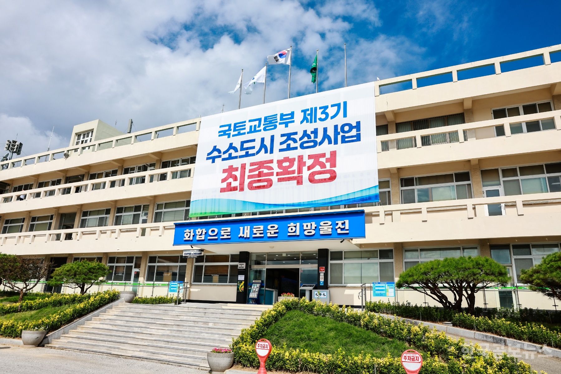 기사 사진