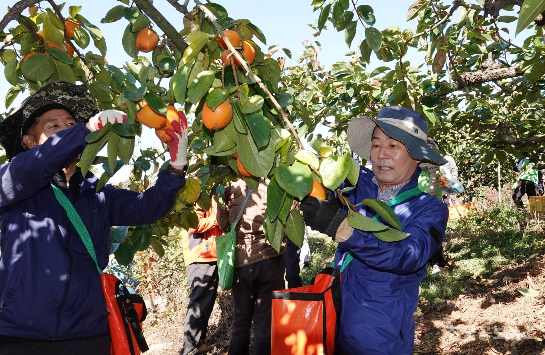 기사 사진