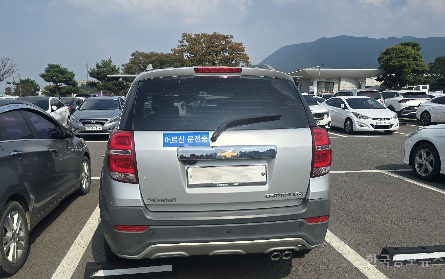 기사 사진