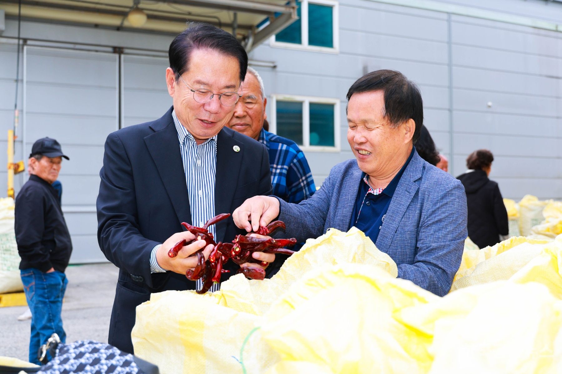 기사 사진
