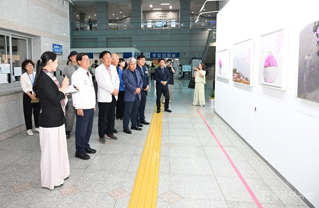 기사 사진