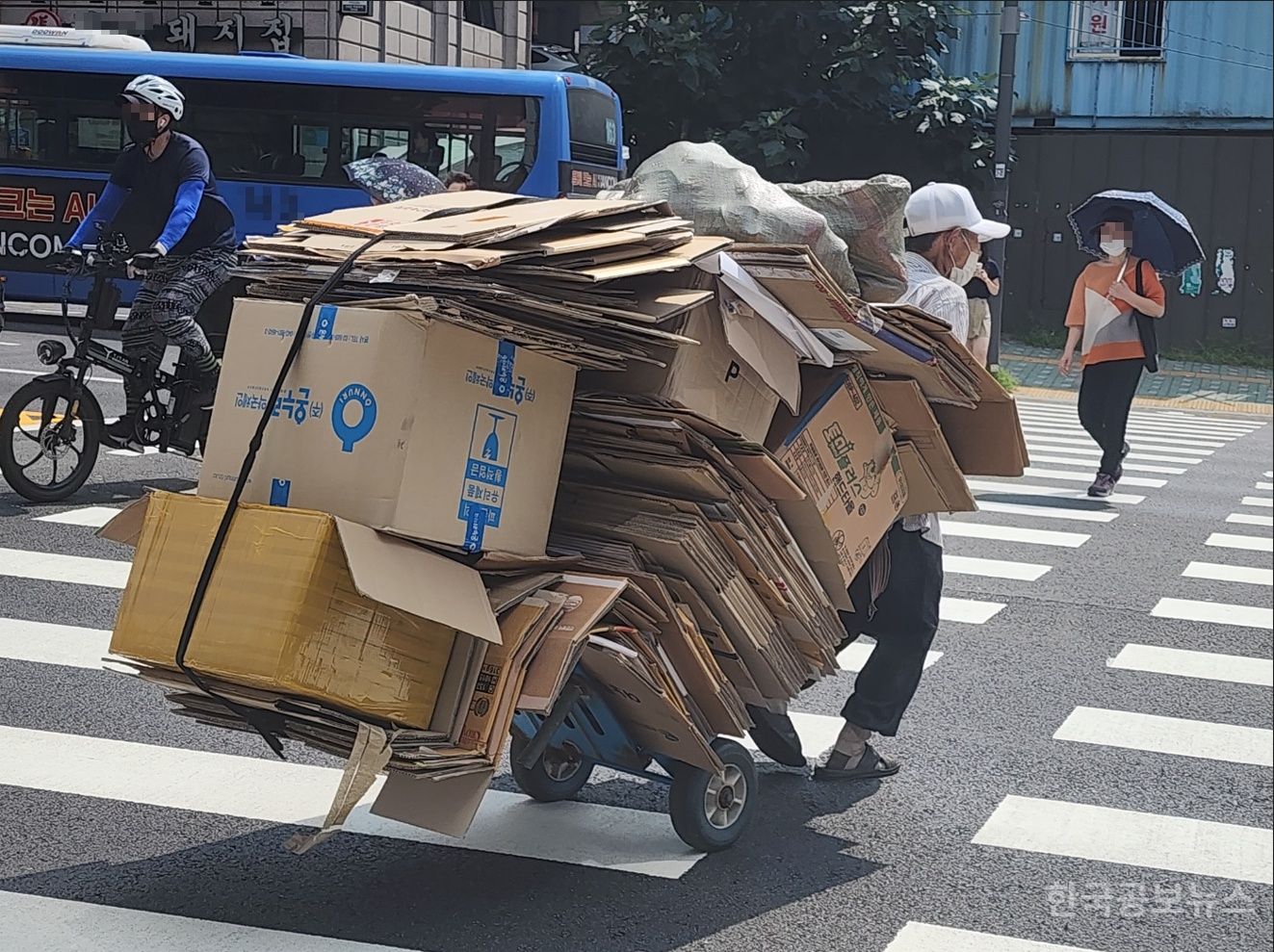 기사 사진